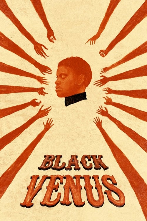 Poster Vénus noire 2010