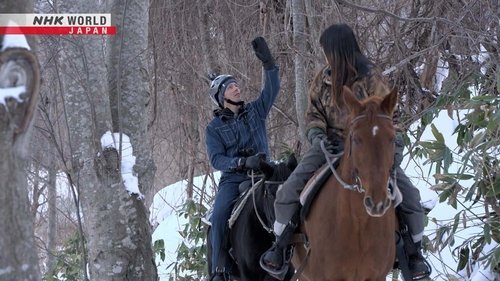 Winter Horse Trekking in Spectacular Scenery!