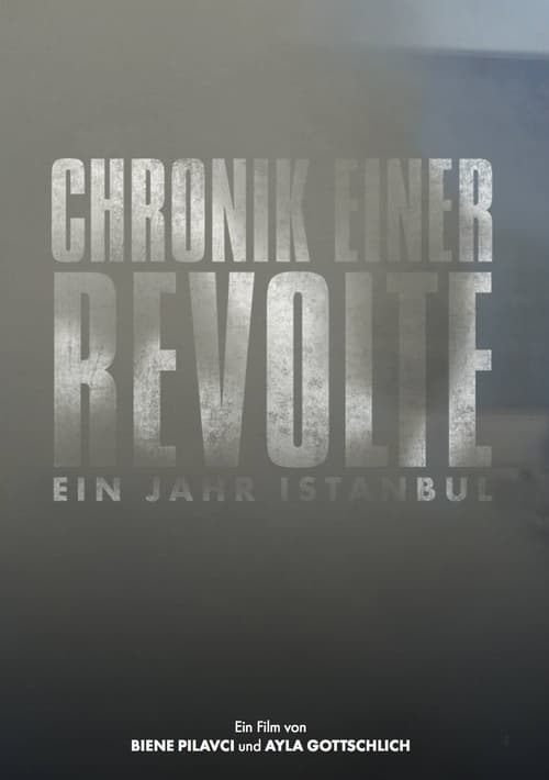 Chronicle of a Revolt: One Year Istanbul