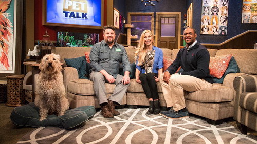 Pet Talk Backdrop Blur