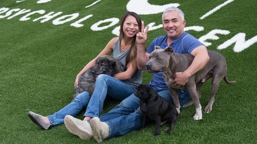 Cesar Millan's Dog Nation