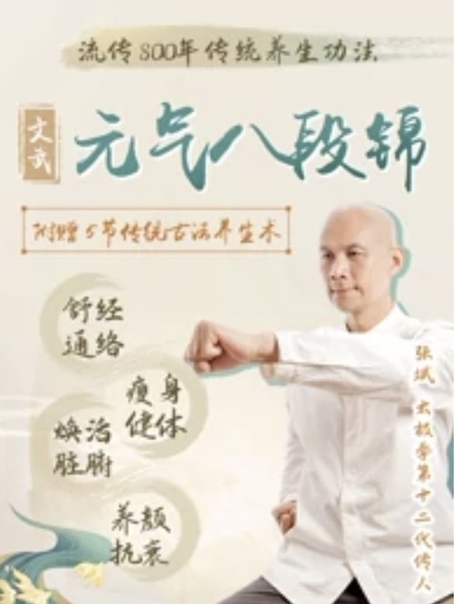 文武元气八段锦 (2023) poster