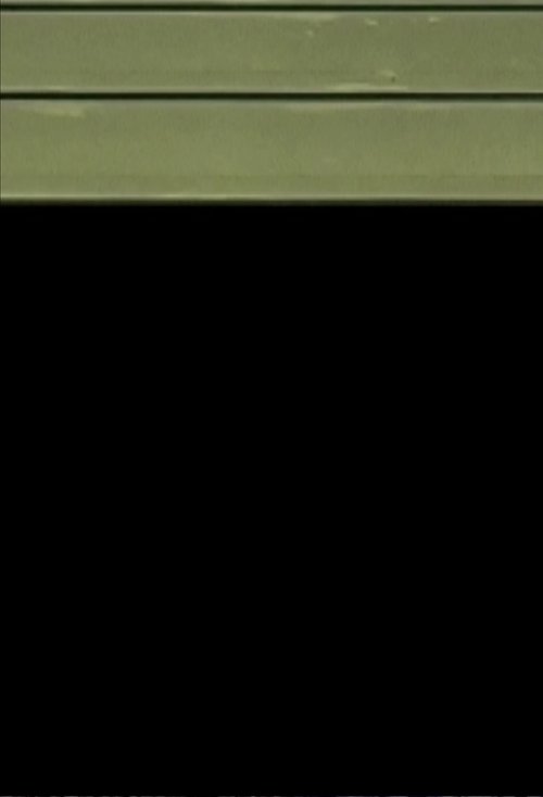nach den Bildern . FEININGERs Trio (2006) poster