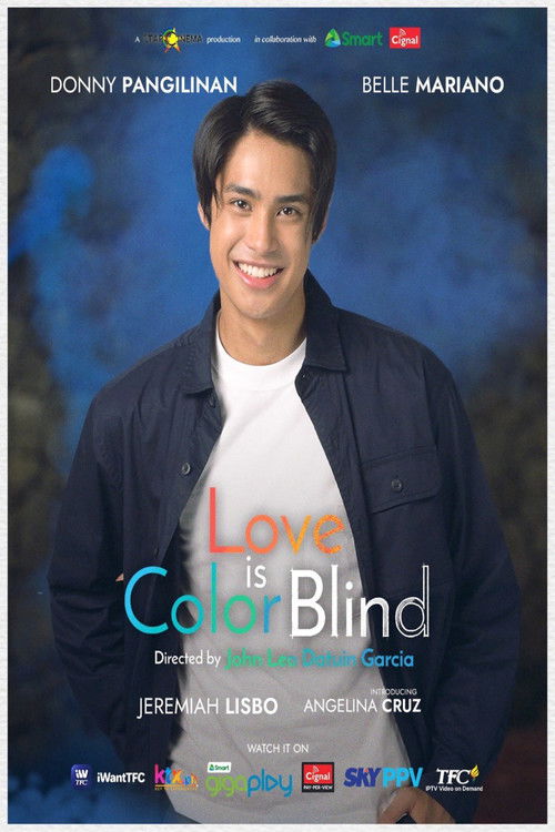 Love Is Color Blind poster