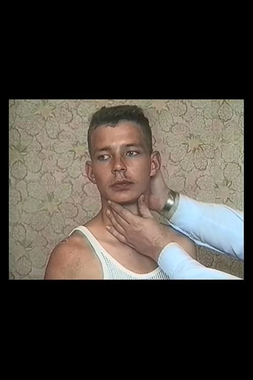 The Fall of Communism as Seen in Gay Pornography 1998