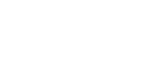 La Muchacha de la limpieza