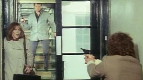 Poster della serie The Professionals