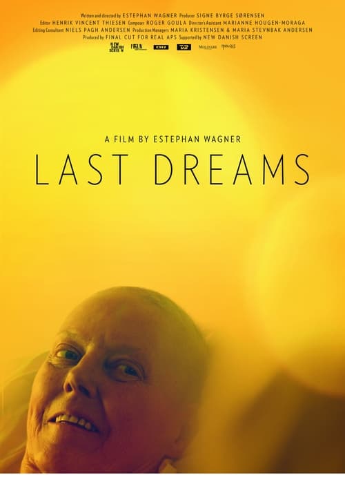 Last Dreams (2013)