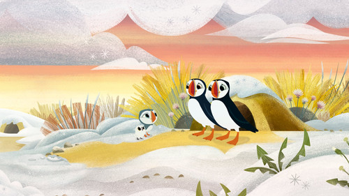 Puffin Rock