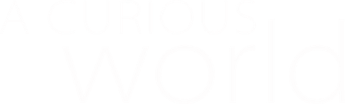 A Curious World