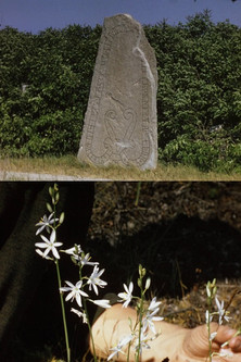 Öland and Gotland poster