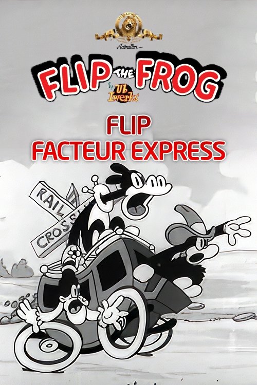 Poster of : Flip facteur express