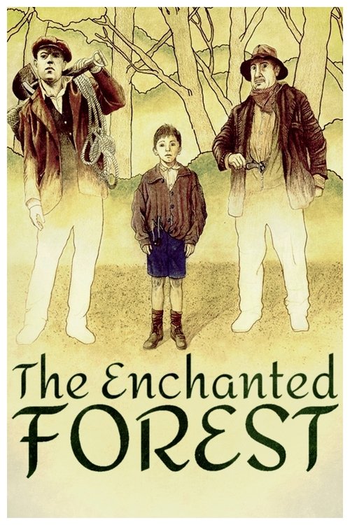 The Enchanted Forest poster