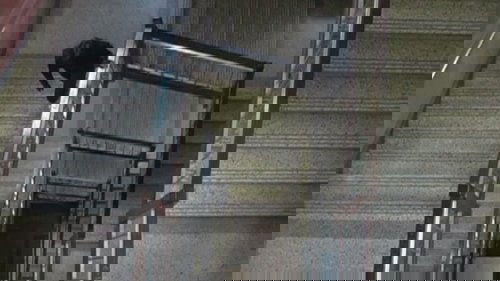 Dual image 6