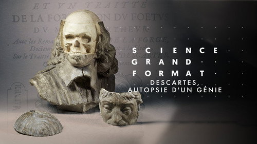 Image Descartes, autopsie d'un génie