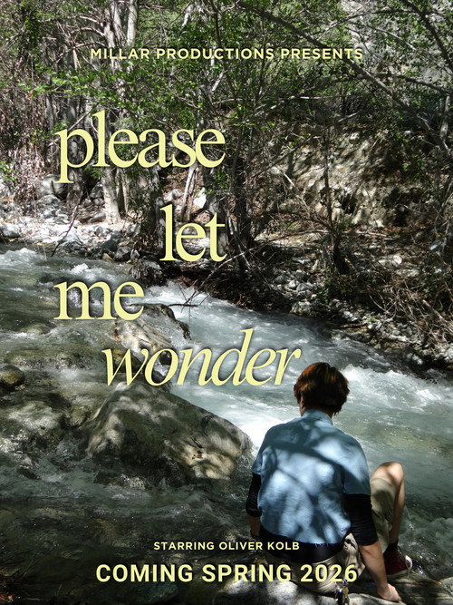 Please Let Me Wonder poster