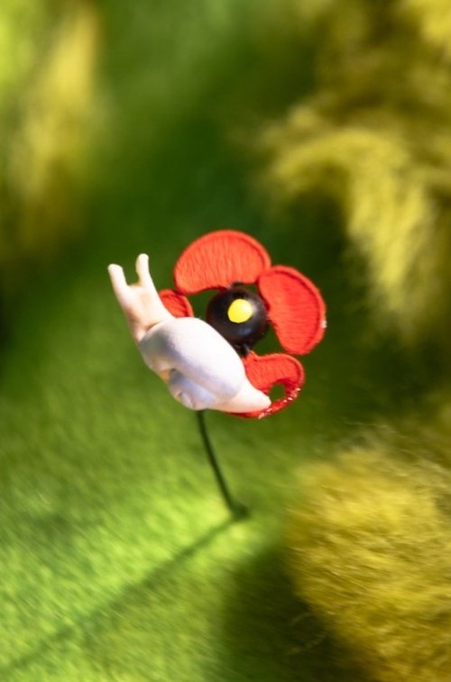 Une Coquille sur le Coquelicot