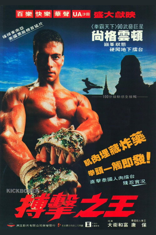 搏击之王