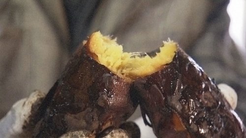 Image de l'épisode 19