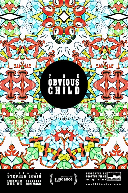 The Obvious Child 2014 The Obvious Child 2014