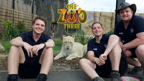 One Zoo Three Backdrop Blur
