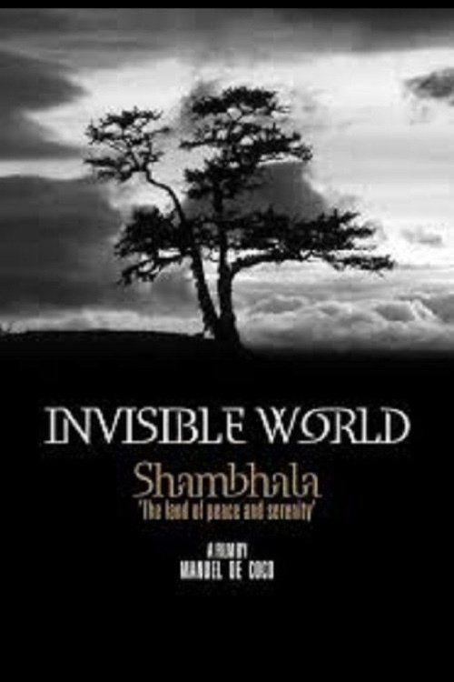 Invisible World Shambhala movie poster player