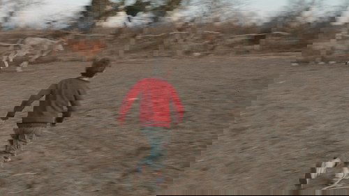 /rUX8OGFdFuV1USp6wlsW6fxIhsd.jpg