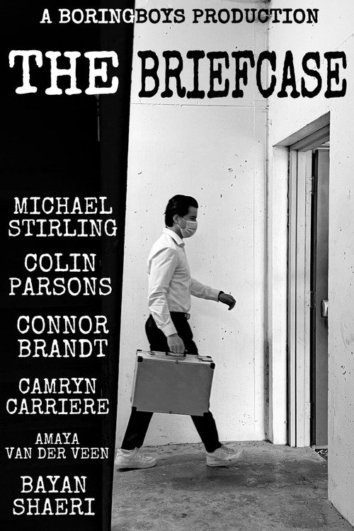 Cartell de The Briefcase