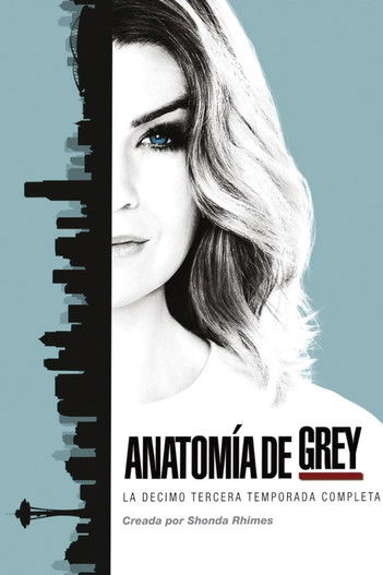 Póster de la temporada 13 de la serie Anatomía de Grey