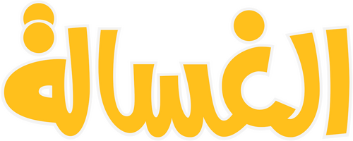 الغسالة