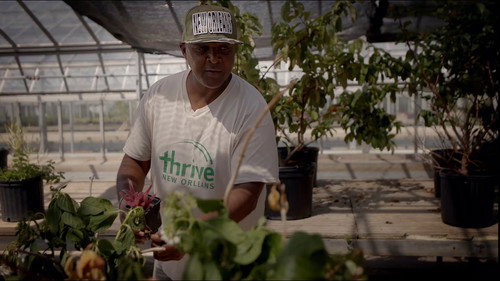 Vindication to Victory