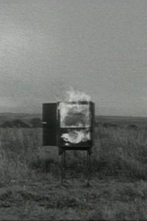 TV Interruptions: Burning TV movie poster player