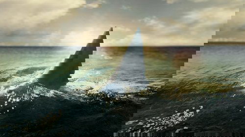When Sharks Attack 360