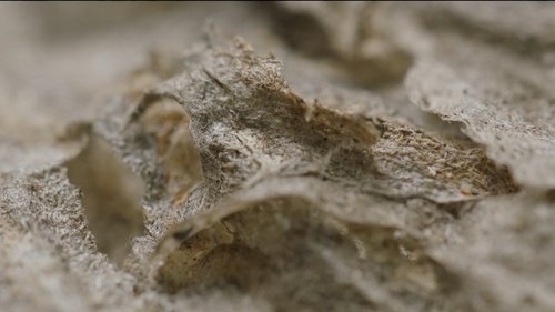 Image de l'épisode 5