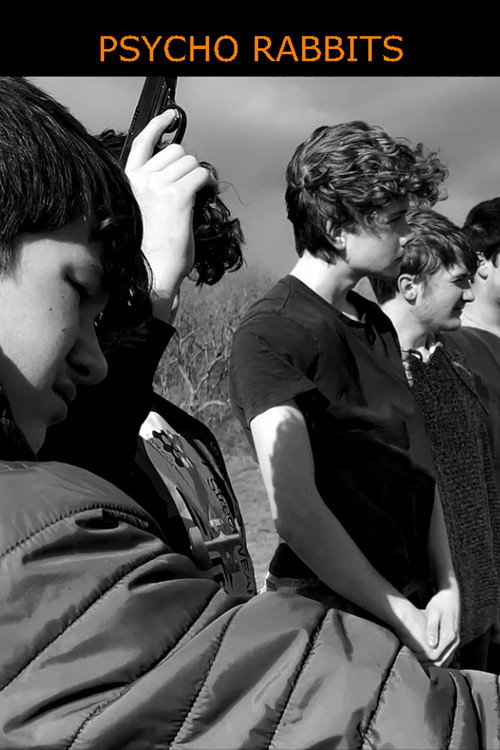 Poster for Psycho Rabbits