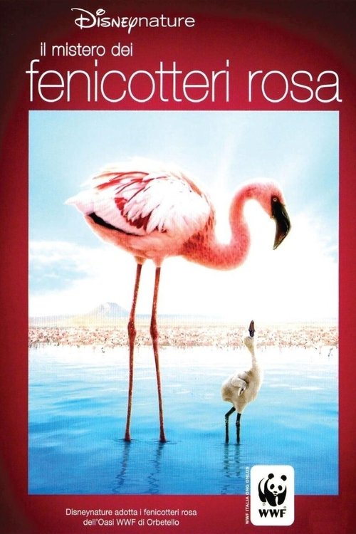 The Crimson Wing: Mystery of the Flamingos poster