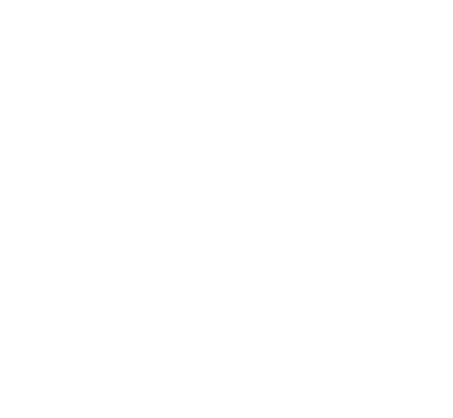 The Heir: The Freestyle Dynasty
