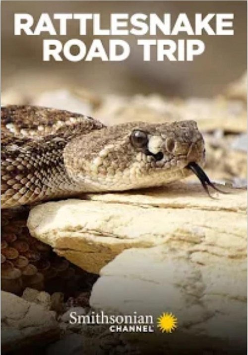 Rattlesnake Road Trip movie poster player