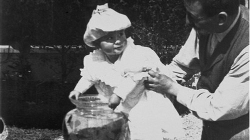 Fishing for Goldfish Fishing for Goldfish