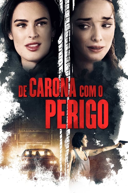 Poster do filme De Carona com o Perigo