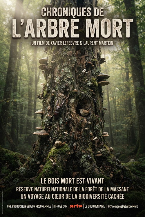 Chroniques de l'arbre mort