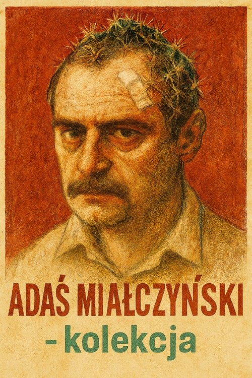 Adaś Miauczyński Collection