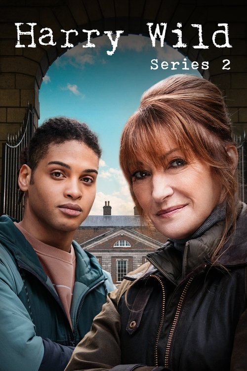Ver temporada 2 de Harry Wild Póster de la temporada 2 de la serie Harry Wild