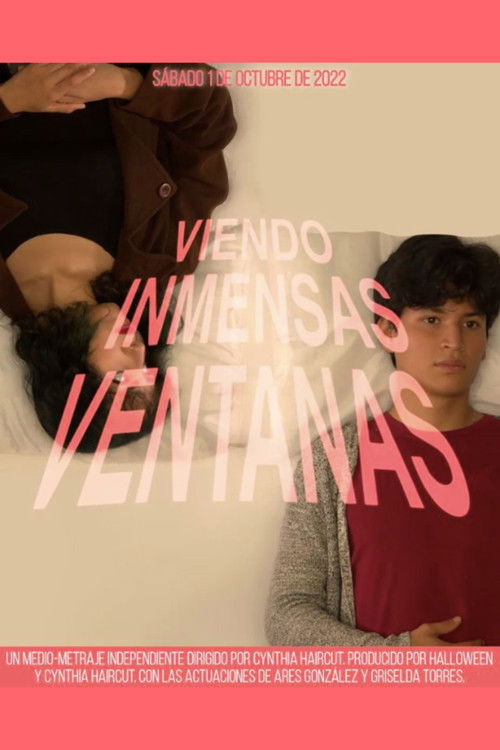 Watching Immense Windows poster