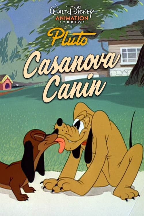 Casanova Canin (1945)