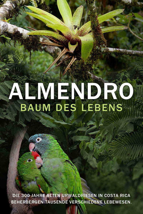ALMENDRO - BAUM DES LEBENS (2003) poster