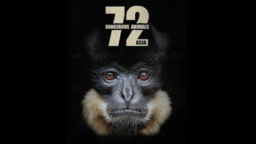 72 Dangerous Animals: Asia