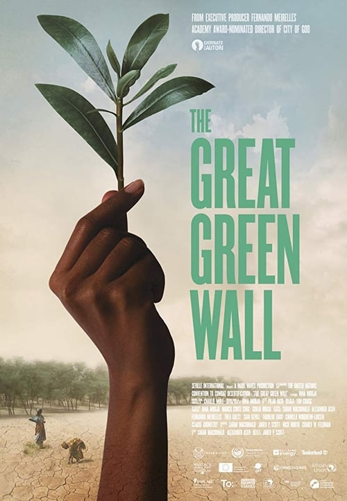 The Great Green Wall 2019