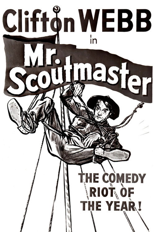 Mister Scoutmaster poster