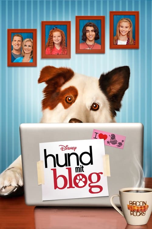 Hund mit Blog